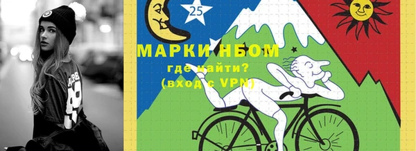 стаф Дмитров