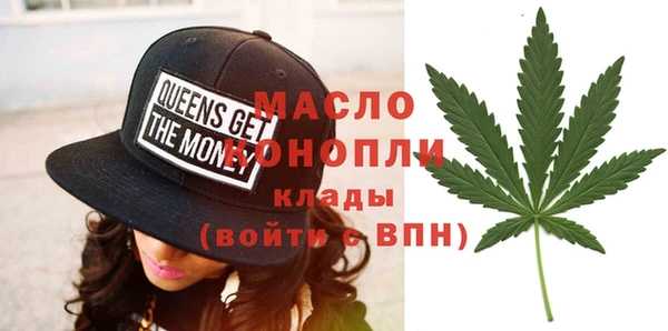 тгк Дмитриев