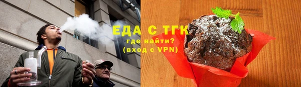 тгк Дмитриев