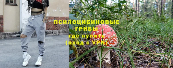тгк Дмитриев