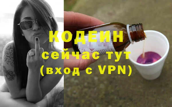 стаф Дмитров