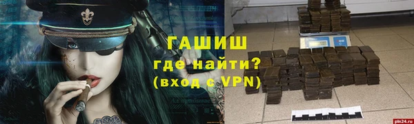 стаф Дмитров