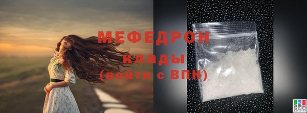 тгк Дмитриев