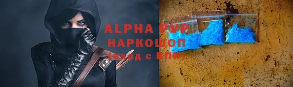 стаф Дмитров