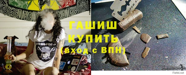тгк Дмитриев