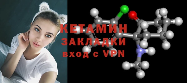 тгк Дмитриев