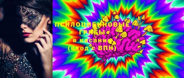 тгк Дмитриев