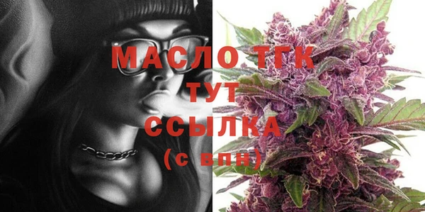 тгк Дмитриев