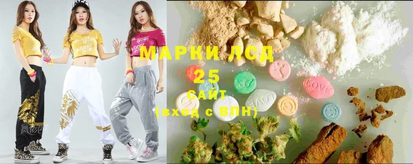 стаф Дмитров