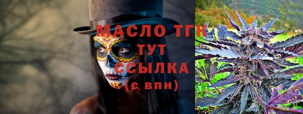 тгк Дмитриев