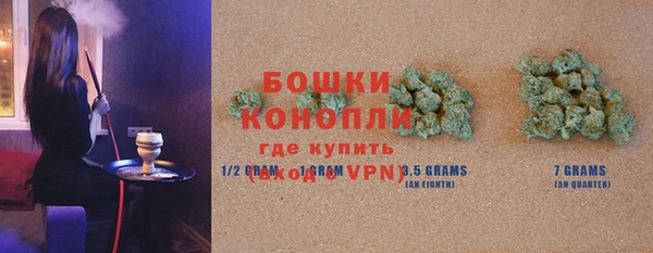стаф Дмитров