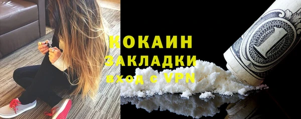 стаф Дмитров