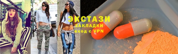 тгк Дмитриев
