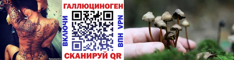 Галлюциногенные грибы MAGIC MUSHROOMS  Купить закладки  Курильск 