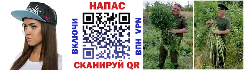 Каннабис OG Kush  Купить  Курильск 